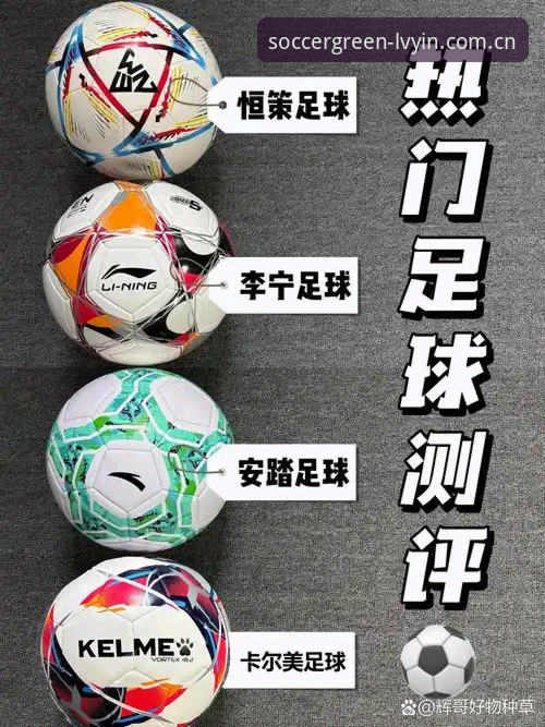 绿茵体育官网入口与普通体育平台的全面对比：哪个更适合你的运动需求？